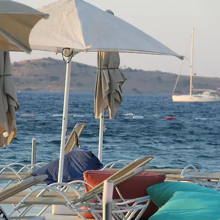 Golkoy