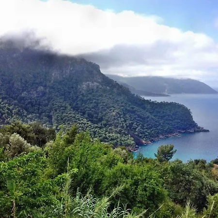 Golkoy Suites Отель *