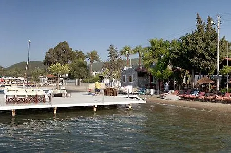 Golkoy *