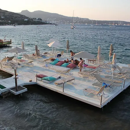 Golkoy * Golturkbuku